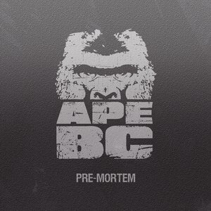 Pre-mortem