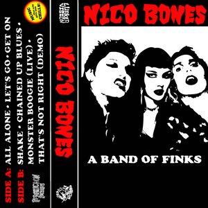 A Band Of Finks