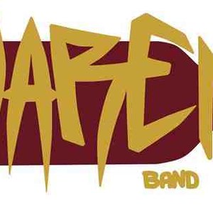 Avatar for Amarena BAND