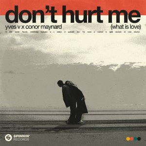 Don't Hurt Me (What is Love)