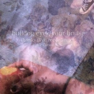 bulldog eyes/your bruise 的头像