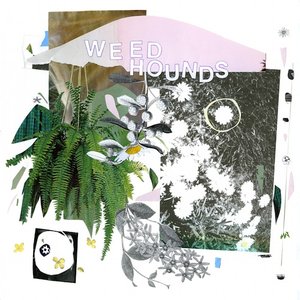 Weed Hounds LP