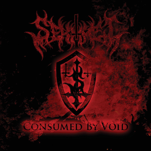 Consumed by Void cover