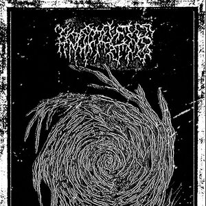 Gaze of the Void