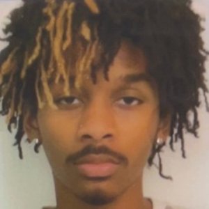 ronehl のアバター