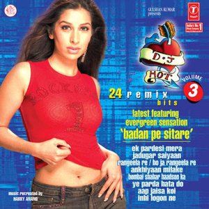 DJ Hot Volume 3: 24 Remix Hits