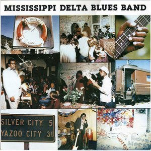Mississippi Delta Blues Band