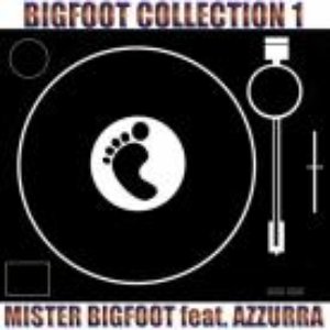 Avatar for Mister Bigfoot