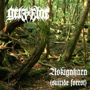 Aokigahara