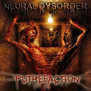 Neural Dysorder 的头像