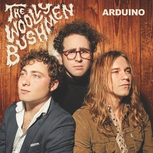 Arduino