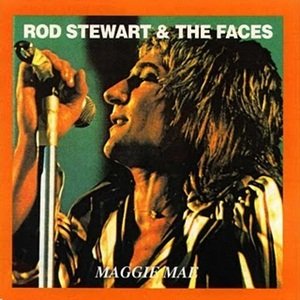 “The Faces- Rod Stewart”的封面