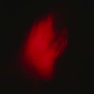 Dirty Secret - Single