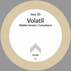 Hidden Senses / Conurbano
