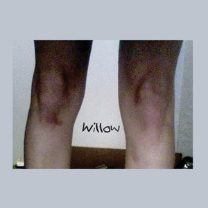 Willow [Explicit]