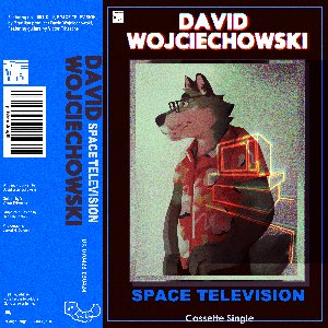 SPACE TELEVISION