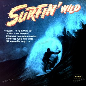 Surfin' Wild