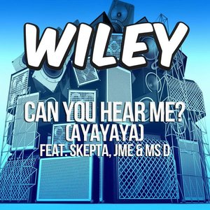 Can You Hear Me? (Ayayaya) [Remixes] [feat. Skepta, JME & Ms. D] - EP