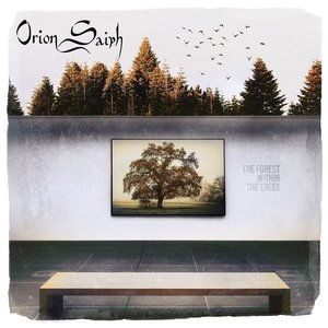 The Forest Within the Trees