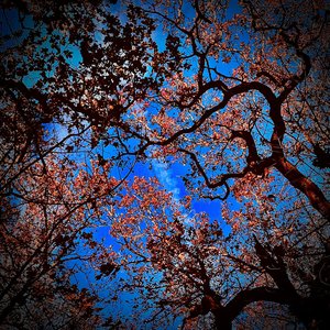 Entropy