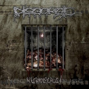 Доклад: Disgorge