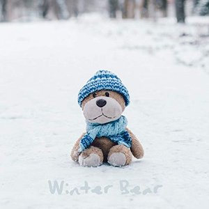 Winter Bear - Single