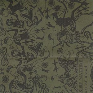 Warriors Of Nature 的头像