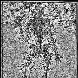 Acatastasia
