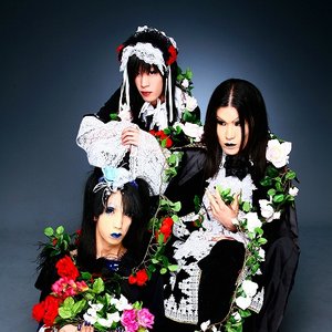 Ellusion Elysee 的头像