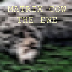 The Ewe