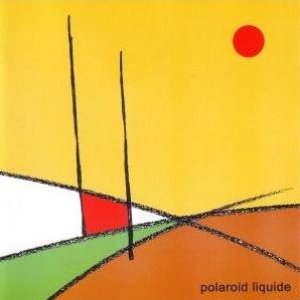 polaroid liquide