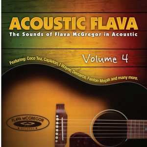 Acoustic Flava, Vol. 4