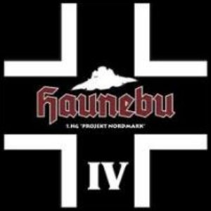 “DARKTONE HAUNEBU”的封面