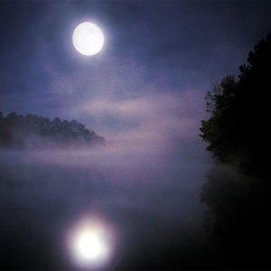 This Gentle Horror 的头像