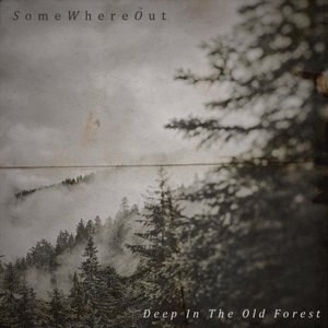 Deep in the Old Forest