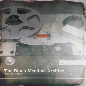 The Black Meadow Archive: The Lost Tapes