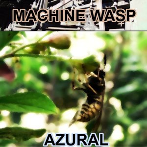 Machine Wasp