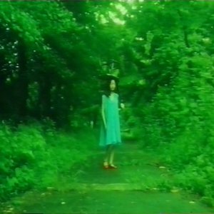 深夜冲浪