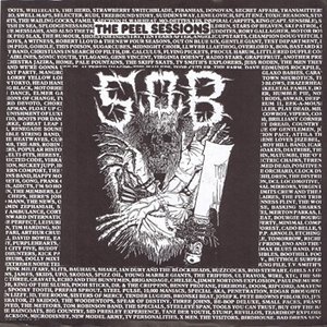 The Peel Sessions