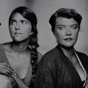 Avatar di Birds On A Wire