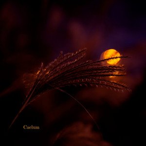 Caelum