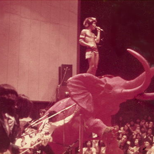 Flower Travellin’ Band photo provided by Last.fm