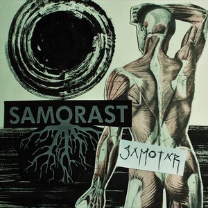 Demo 2016