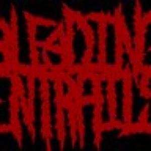 Avatar for Bleeding Entrails