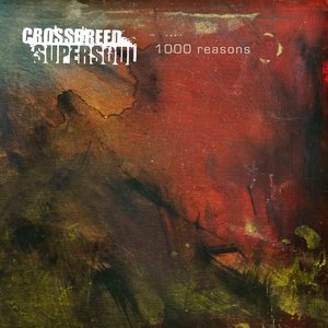 1000 Reasons