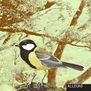 Allegro