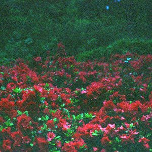 Eternal Beauty