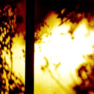 Awatar dla Mydreamfever & Huremic