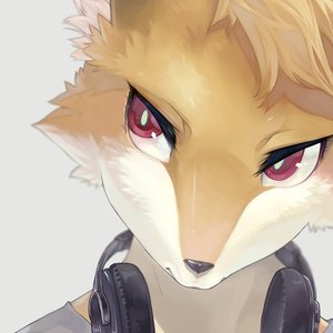 TERU FOX 的头像
