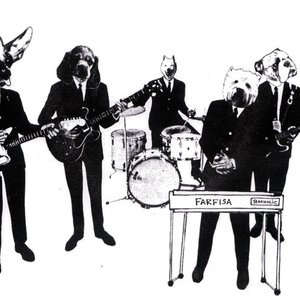 The Roofdogs 的头像